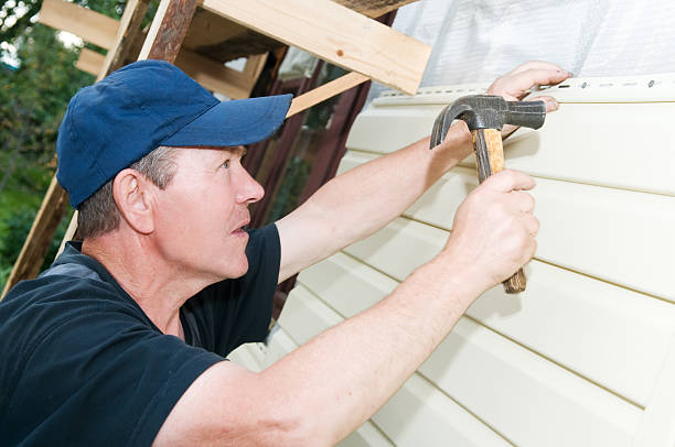 Best Stone Veneer Siding  in St Helena, CA